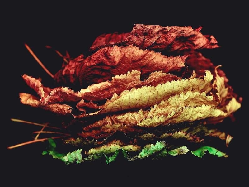 身体记忆<br>kclfxfu.cn 肌肉酸痛叙事